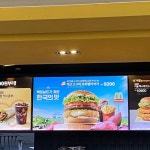 [잡담] 맥도날드 익산 고구마모짜렐라 버거 먹음🤤 - 인스티즈(instiz) 일상 카테고리 [잡담] 맥도날드 익산 고구마모짜렐라 버거 먹음🤤