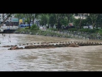 대전 충대 앞 유성천 잠겼네 - 인스티즈(instiz) 일상 카테고리 대전 충대 앞 유성천 잠겼네