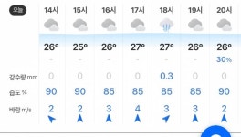 문학 잘하면 할지도...? - 인스티즈(instiz) SSG 카테고리 문학 잘하면 할지도...?