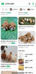 [잡담] 뜨개질 독학 많이 어려울까 - 인스티즈(instiz) 일상 카테고리 뜨개질 독학 많이 어려울까