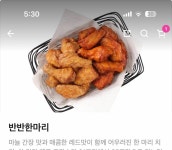 [잡담] 교촌치킨 이게 허니랑 레드 그건가?? - 인스티즈(instiz) 일상 카테고리 교촌치킨 이게 허니랑 레드 그건가??