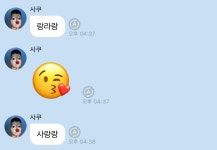 사쿠야 버블 귀여움 과해 - 인스티즈(instiz) 연예 카테고리 사쿠야 버블 귀여움 과해