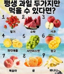 [잡담] 평생 과일 두가지만 먹을수 있으면 뭐 택할래? - 인스티즈(instiz) 일상 카테고리 평생 과일 두가지만 먹을수 있으면 뭐 택할래?