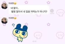 [잡담] 쇼타로 앤톤 한국어 똑같이 틀린거 - 인스티즈(instiz) 연예 카테고리 쇼타로 앤톤 한국어 똑같이 틀린거