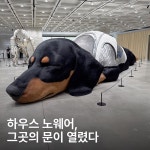 이런건 어케 제작하는거지 - 인스티즈(instiz) 연예 카테고리 이런건 어케 제작하는거지