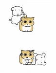 구미 이제 천둥번개 안치는거같으니..다시 자러간다 - 인스티즈(instiz) 일상 카테고리 구미 이제 천둥번개 안치는거같으니..다시 자러간다