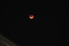 대전익 블러드문 찍고왔어! - 인스티즈(instiz) 일상 카테고리 대전익 블러드문 찍고왔어!