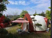 ㄱ강아지 동반 펜션 어디가나을까?ㅠㅠ - 인스티즈(instiz) 일상 카테고리 ㄱ강아지 동반 펜션 어디가나을까?ㅠㅠ