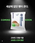 (주)맛샘터 연세우유지점 | 연세우유 교보문고맛빵 나온다는데 무슨맛일까 - 인스티즈(instiz) 연예 카테고리 연세우유 교보문고맛빵 나온다는데 무슨맛일까