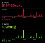 애플 피트니스 첨써보는데 - 인스티즈(instiz) 일상 카테고리 애플 피트니스 첨써보는데