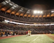 랜더스 문학 아랑해 - 인스티즈(instiz) SSG 카테고리 랜더스 문학 아랑해