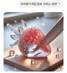 요즘 AI 너무 무서워 .. 예술계가 위협받는중 아님? - 인스티즈(instiz) 일상 카테고리 요즘 AI 너무 무서워 .. 예술계가 위협받는중 아님?