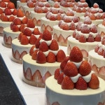 크리스마스날 케이크 만들건데 뭐가 예뻐?? - 인스티즈(instiz) 일상 카테고리 크리스마스날 케이크 만들건데 뭐가 예뻐??