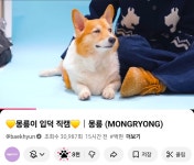 백현팬들아 너네 이거봄? - 인스티즈(instiz) 연예 카테고리 백현팬들아 너네 이거봄?