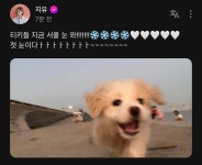 키키 지유 진짜 부산사람같고 귀엽다... - 인스티즈(instiz) 연예 카테고리 키키 지유 진짜 부산사람같고 귀엽다...