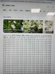 오 네이버 pc버전에서 winters bark 검색했더니 - 인스티즈(instiz) 이성 사랑방 카테고리 오 네이버 pc버전에서 winters bark... 