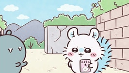 계산 똑바로 해라 몽가 이 자식아 - 인스티즈(instiz) 치이카와(먼작귀) 카테고리 계산 똑바로 해라 몽가 이 자식아