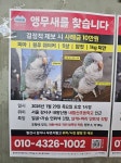 ✨️서울 강서구 주목✨️ - 인스티즈(instiz) 일상 카테고리 ✨️서울 강서구 주목✨️