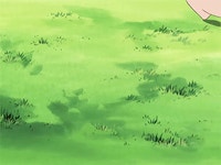 못생긴 포켓몬 랭킹, 피카츄보다 귀여운 포켓몬 랭킹 - 인스티즈(instiz) 이슈 카테고리 못생긴 포켓몬 랭킹, 피카츄보다 귀여운 포켓몬 랭킹