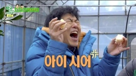 한라봉도 착하게 먹는 김희원 - 인스티즈(instiz) 이슈 카테고리 한라봉도 착하게 먹는 김희원