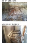 직업 군인이랑 결혼하면 살아야하는 군인 관사 수준.jpg - 인스티즈... 이슈 카테고리 직업 군인이랑 결혼하면 살아야하는 군인 관사 수준.jpg