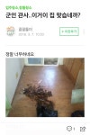 직업 군인이랑 결혼하면 살아야하는 군인 관사 수준.jpg - 인스티즈(instiz) 이슈 카테고리