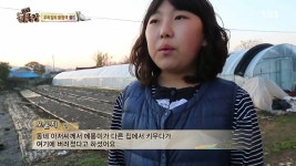 [동물농장] 우리집 불청객 골드 - 인스티즈(instiz) 이슈 카테고리 [동물농장] 우리집 불청객 골드