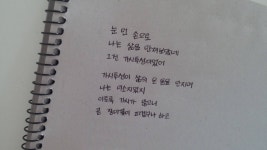 외로움과 외사랑에 지친 분들을 위한 시/글귀 - 인스티즈(instiz) 이슈 카테고리