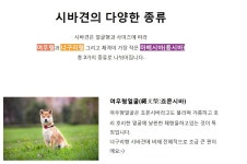 시바 시바 개 시바~! - 시바이누의 종류 - 인스티즈(instiz) 이슈 카테고리