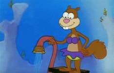 스폰지밥에 숨어 있는 쓸데없이 과학적인 설정 5가지 - 인스티즈(instiz) 이슈 카테고리 스폰지밥에 숨어 있는 쓸데없이 과학적인 설정 5가지