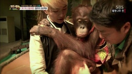 [정글의법칙] 실제 성격 보이던 온유 - 인스티즈(instiz) 이슈 카테고리 [정글의법칙] 실제 성격 보이던 온유