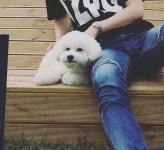 엑소 세훈이 키우는 반려견 비비.jpg - 인스티즈(instiz) 이슈 카테고리 엑소 세훈이 키우는 반려견 비비.jpg