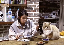 아이유 음식이 탐나는 냥이 gif (효리네 민박) - 인스티즈(instiz) 이슈 카테고리