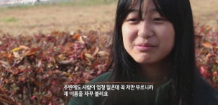 SBS 스페셜 엄마의 전쟁 흥부네 13남매 이야기(1) - 인스티즈(instiz) 이슈 카테고리