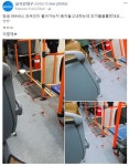 대구 564번 버스에 묻은 피의 정체....jpg - 인스티즈(instiz) 이슈 카테고리