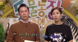 [동물농장] 화살 맞은 고양이 최근 모습 - 인스티즈(instiz) 이슈 카테고리 [동물농장] 화살 맞은 고양이 최근 모습