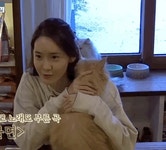 [효리네민박2] 윤아한테 가서 미동없이 안겨있는 미미 / 순이... gif - 인스티즈(instiz) 이슈 카테고리 [효리네민박2] 윤아한테 가서 미동없이... 