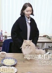 [효리네민박2] 윤아한테 가서 미동없이 안겨있는 미미 / 순이 괴롭히는 윤아.gif - 인스티즈(instiz) 이슈 카테고리 [효리네민박2] 윤아한테... 