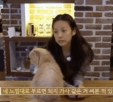 [효리네민박2] 윤아한테 가서 미동없이 안겨있는 미미 / 순이 괴롭히는 윤아.gif - 인스티즈(instiz) 이슈 카테고리 [효리네민박2] 윤아한테... 