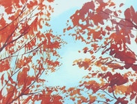 빨강머리 앤이 사는 에이번리의 가을 (데이터 주의) - 인스티즈(instiz) 이슈 카테고리 빨강머리 앤이 사는 에이번리의 가을 (데이터 주의)