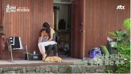 효리네민박 행복이란 멀까? - 인스티즈(instiz) 이슈 카테고리 효리네민박 행복이란 멀까?