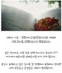 말 잘하는 법 - 인스티즈(instiz) 이슈 카테고리 말 잘하는 법
