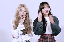 [러블리즈] 커피 마시러 와서 지수 - 인스티즈(instiz) 이슈 카테고리 [러블리즈] 커피 마시러 와서 지수