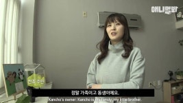 드.디.어.! 밝혀지는 장수견들의 장수 노하우 - 인스티즈(instiz) 이슈 카테고리