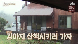 [효리네민박2] 구아나 모카 순심이 산책시키는 효리윤아 - 인스티즈(instiz) 이슈 카테고리