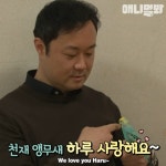3개 국어 스펙 쩌는 앵무새 하루 - 인스티즈(instiz) 이슈 카테고리