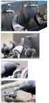 공원 음수대 이용하면 안되는 이유.jpg - 인스티즈(instiz) 이슈 카테고리