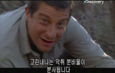베어그릴스의 스컹크 맛 표현 - 인스티즈(instiz) 이슈 카테고리 베어그릴스의 스컹크 맛 표현