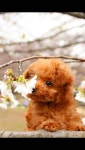 숨겨왔던 나망의 힐링힐링 아가들 보세요ㅅ - 인스티즈(instiz, 音思提资) 인티포털 [인티포털] 숨겨왔던 나망의 힐링힐링 아가들 보세요ㅅ