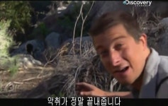 베어그릴스의 스컹크 맛 표현 - 인스티즈(instiz) 이슈 카테고리 베어그릴스의 스컹크 맛 표현